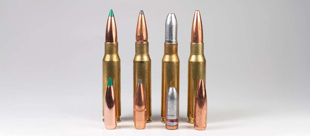 variety of bullets