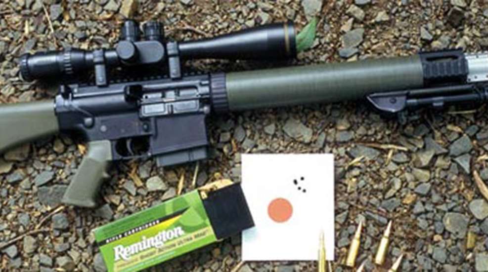 2009629133648-armalite10_fs.jpg