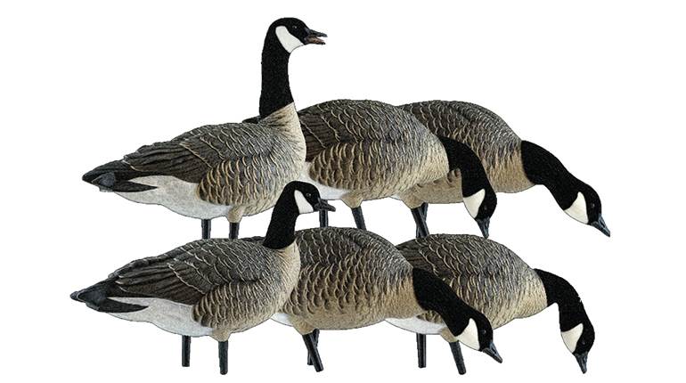 Preview: Avian-X AXP Lessers Fusion Pack | An Official Journal Of The NRA