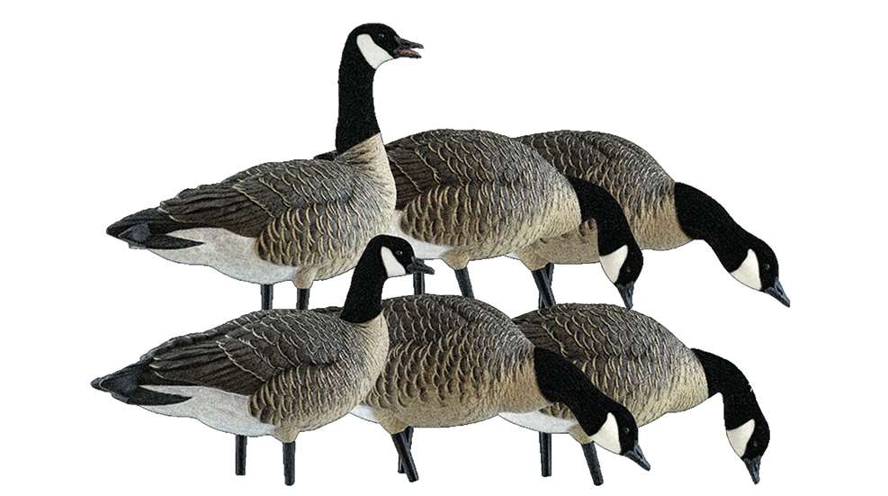 Avian-X AXP Lessers Fusion Pack