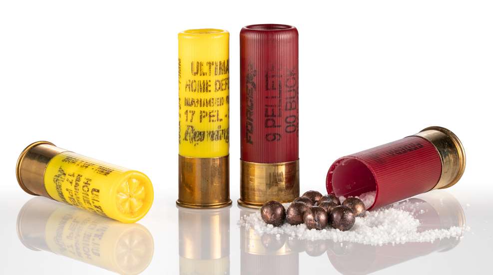 00 Buckshot In 20 Gauge
