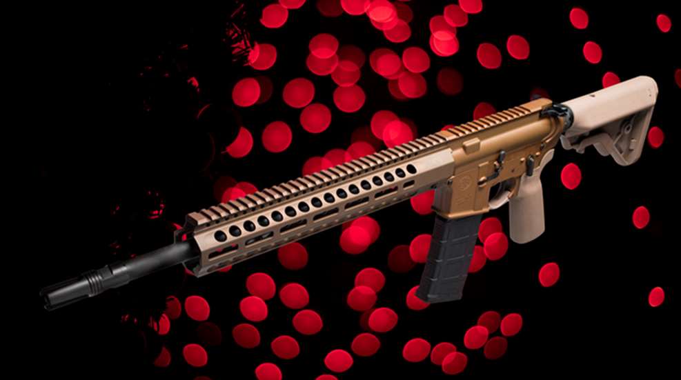 december20gun20sales.jpg