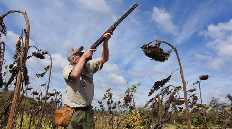 Five Tips To Improve Your Wingshooting ... On The Cheap | An Official Journal Of The NRA