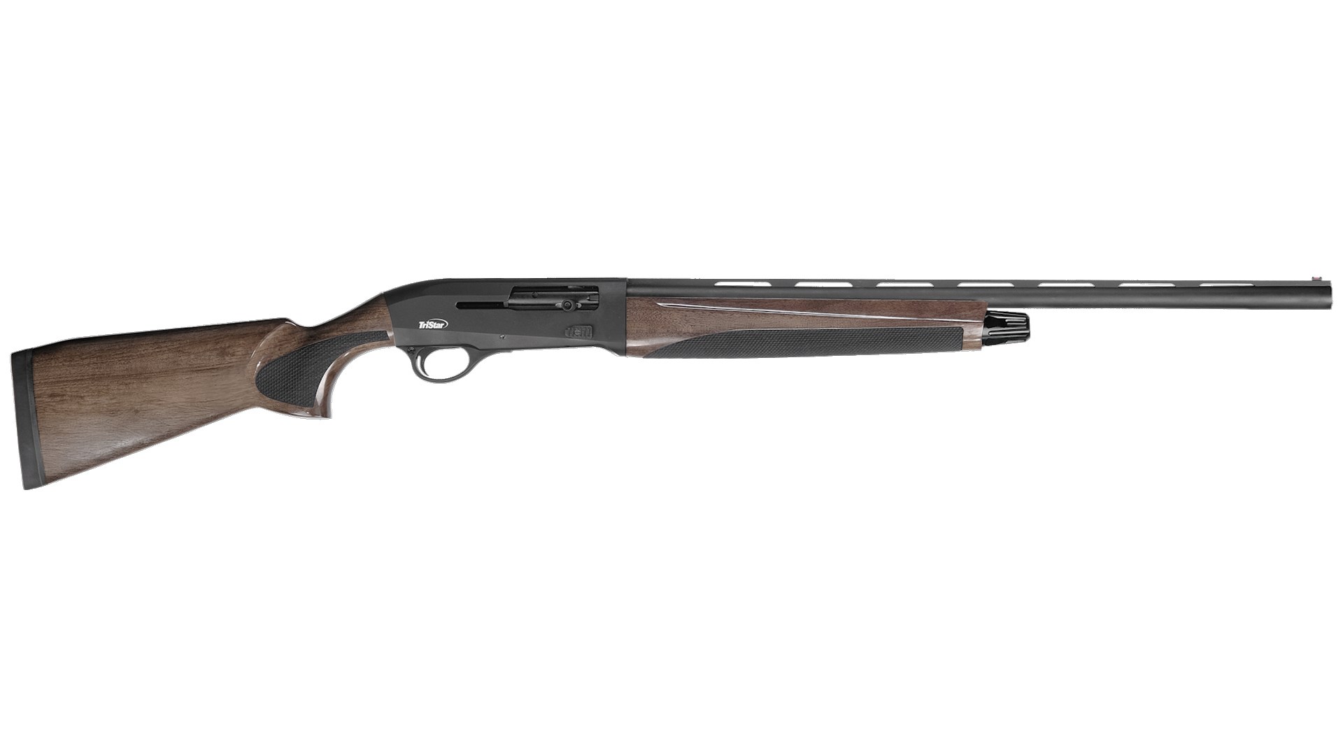 Right side of TriStar Arms Raptor II semi-automatic shotgun with walnut stock black receiver barrel on white background