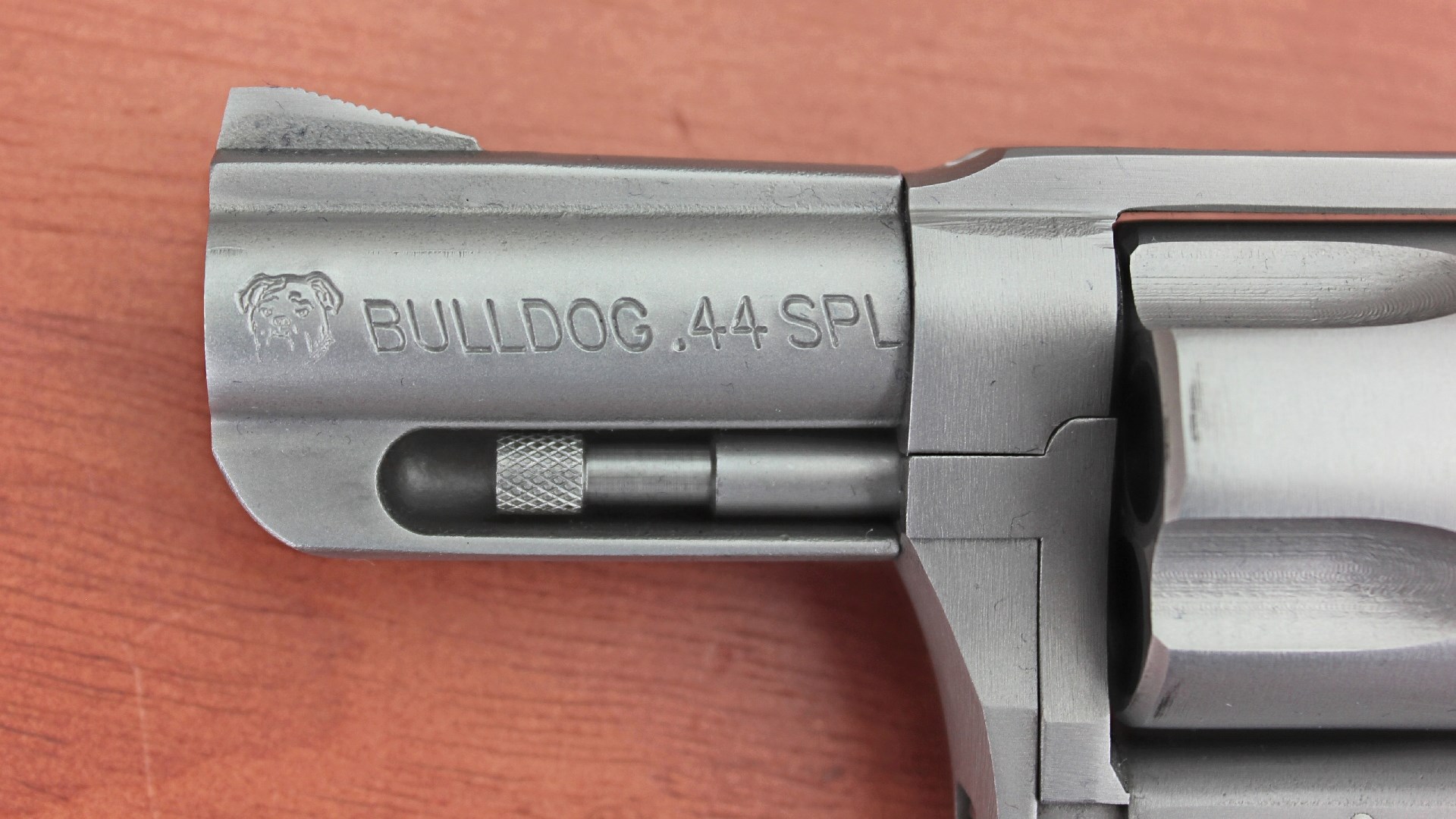charter arms bulldog .44 spl revolver stainless steel barrel stamp closeup wood table background gun
