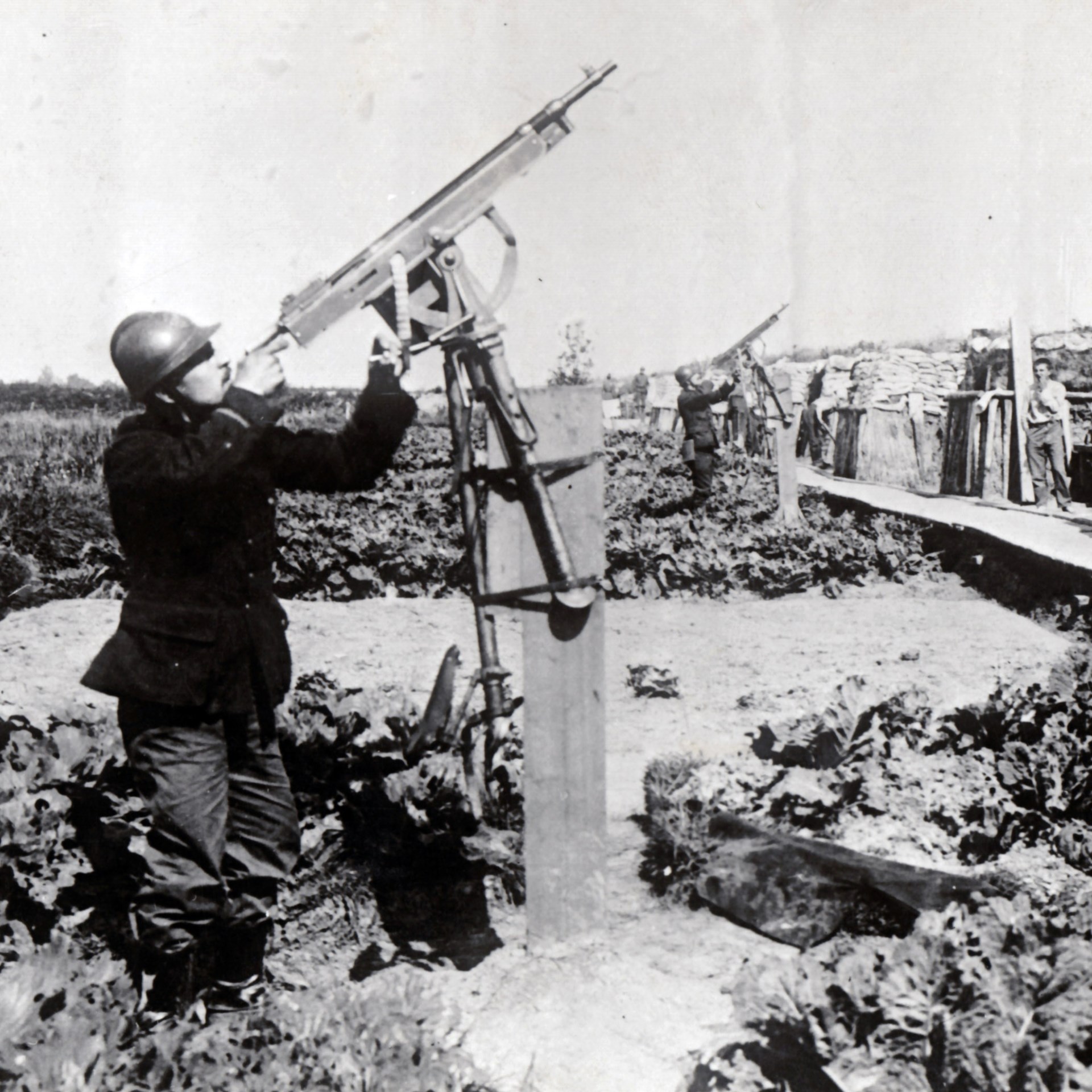 Belgian M1895 guns set up to provide anti-aircraft defense on the Western Front. NARA