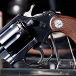 Colt Detective Special Ihtog 1