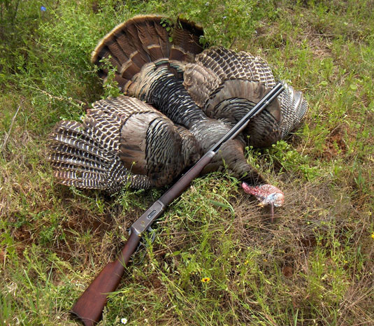 South Texas Turkey