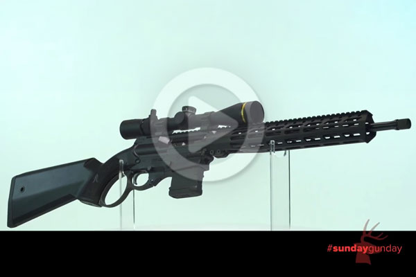 #SundayGunday: Fightlite Industries Herring Model 2024