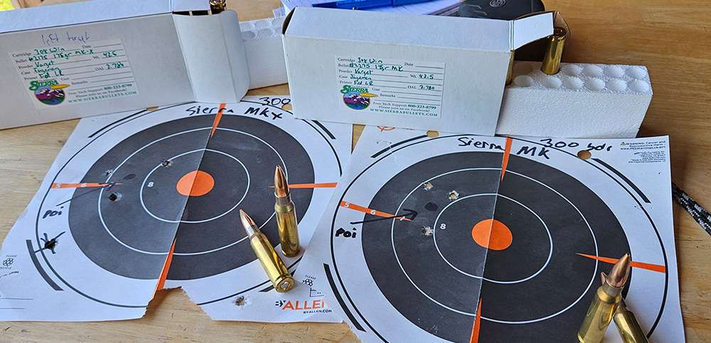 targets with cartridges