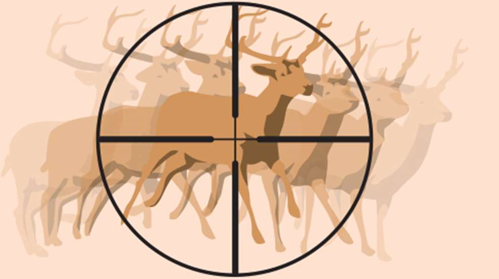 deer.jpg