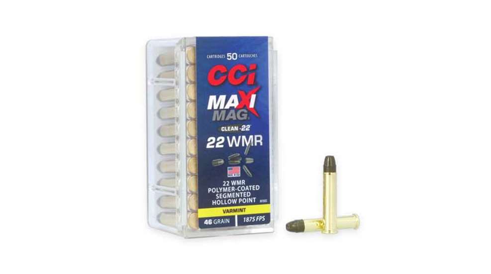cci_ammo_clean22.jpg