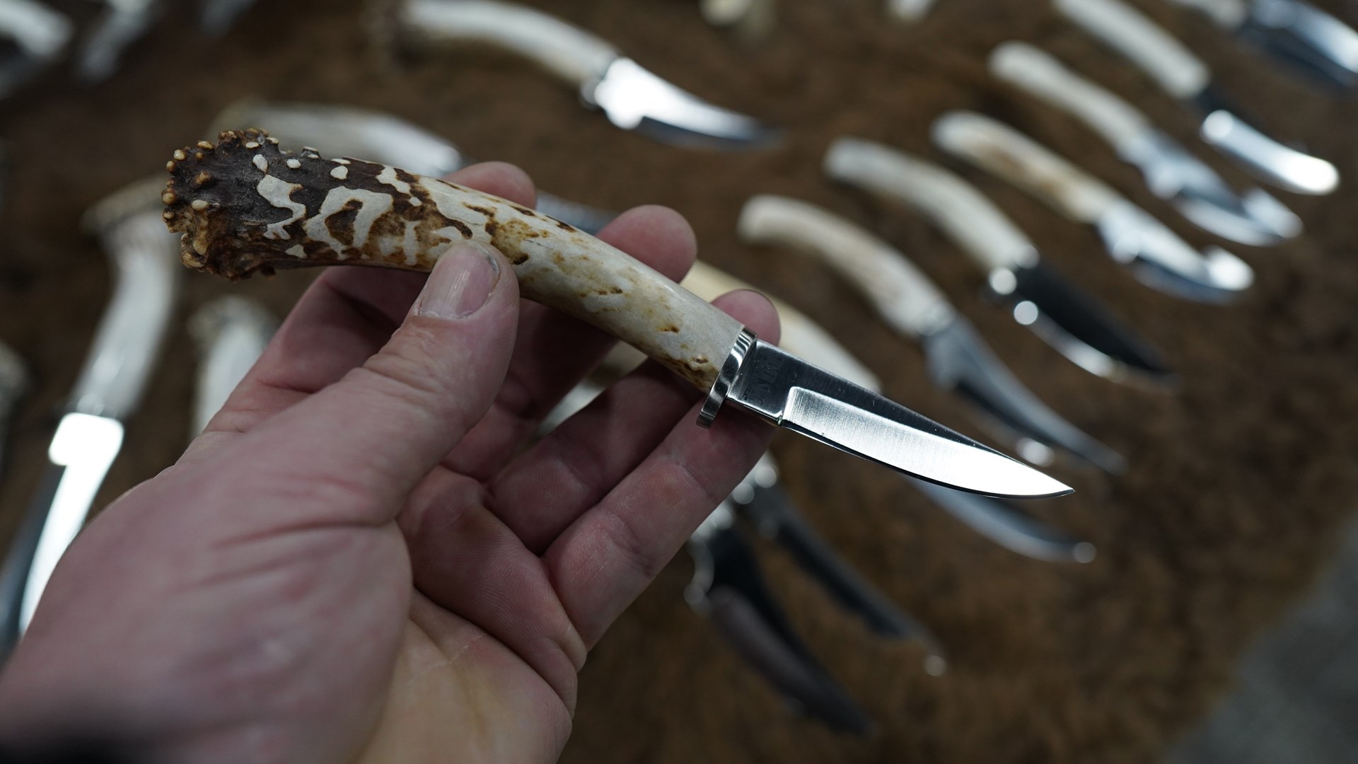 silver stag deer antler knife great american outdoor show