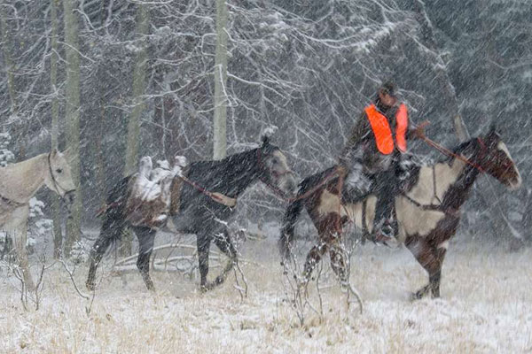 How to Hunt Safely Into Old Age