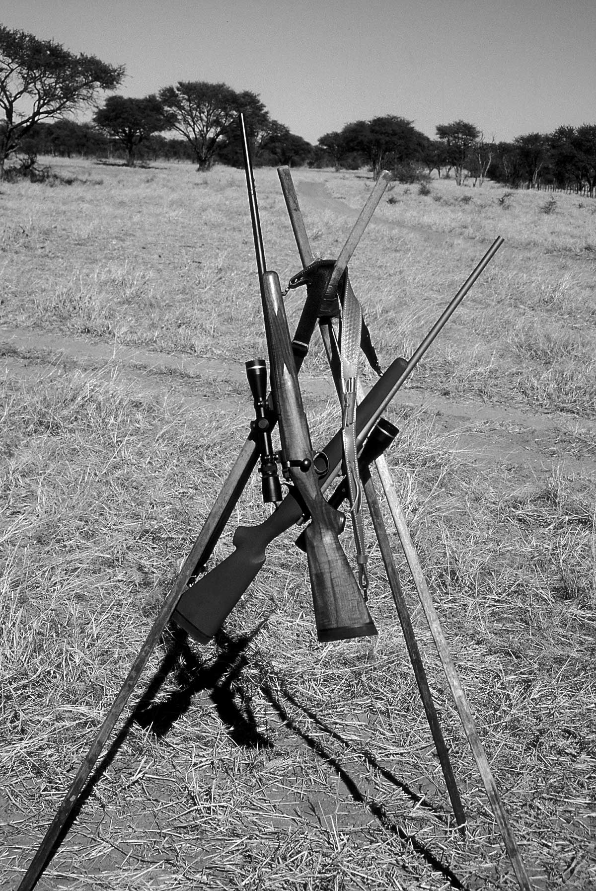 outdoors africa hunting safari rifles shooting sticks