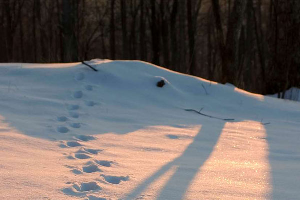 Vermont—Future Conservationists Educated in Record Numbers