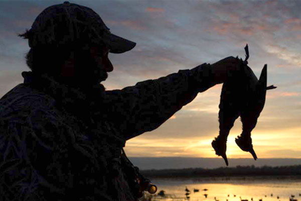 Delta Waterfowl Applauds Commitment to Restore Critical Duck Habitat in Louisiana