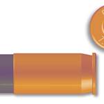 Light-Recoiling .32 ACP Practice Round