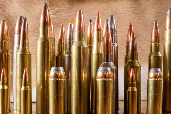Top 10 Magnum Big-Game Hunting Cartridges