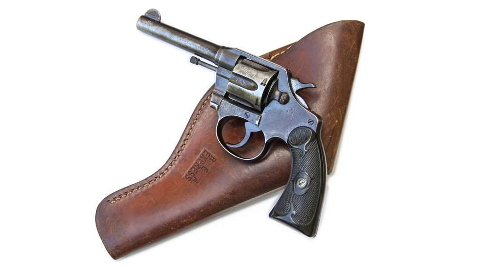 Colt Police Positive