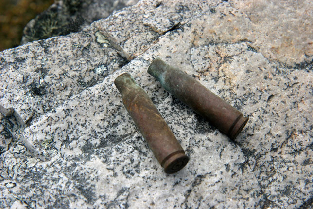 Shell Casings