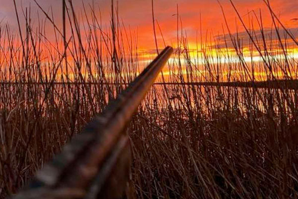 Mentoring: Make Sure Your New Hunter Uses Enough Gun