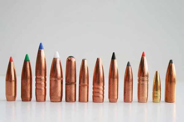 Best Rifle Bullets for Deer Hunting