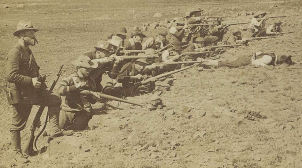 boer.jpg