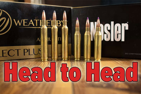 Head to Head: .243 Winchester vs. .240 Weatherby Magnum