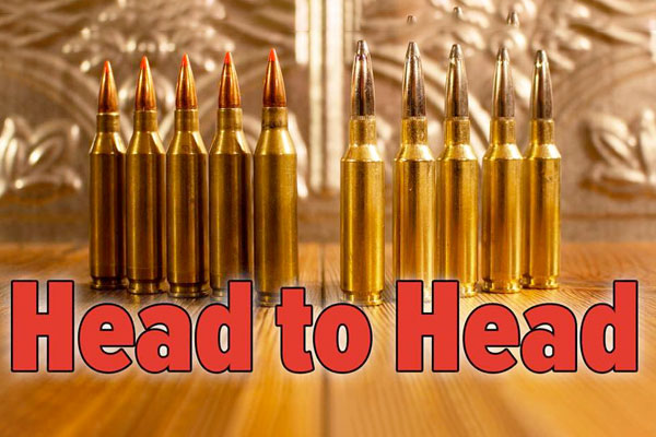Head to Head: .243 Winchester vs. 6.5 Creedmoor