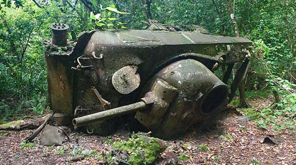 morgan-peleliuguns-main.jpg