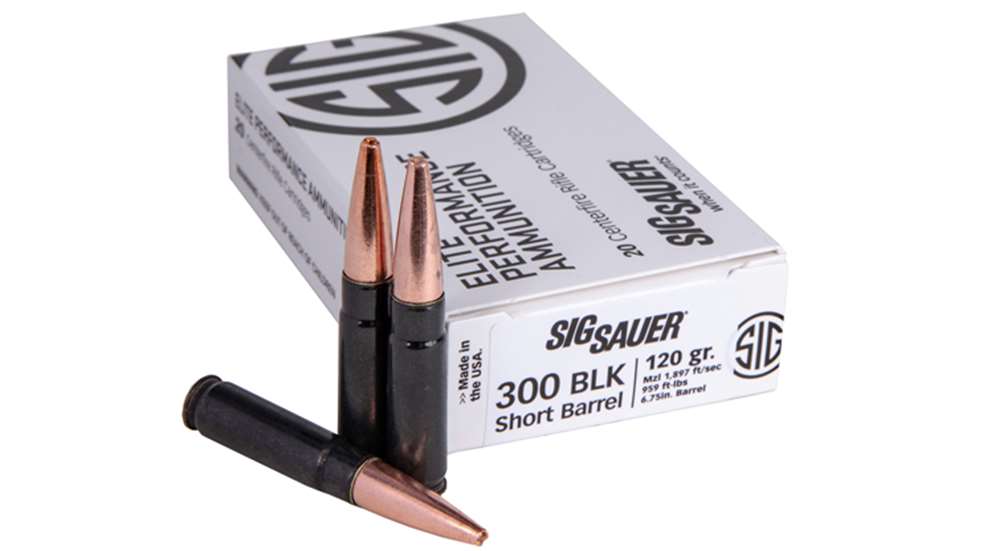 sigsbr_ammo.jpg