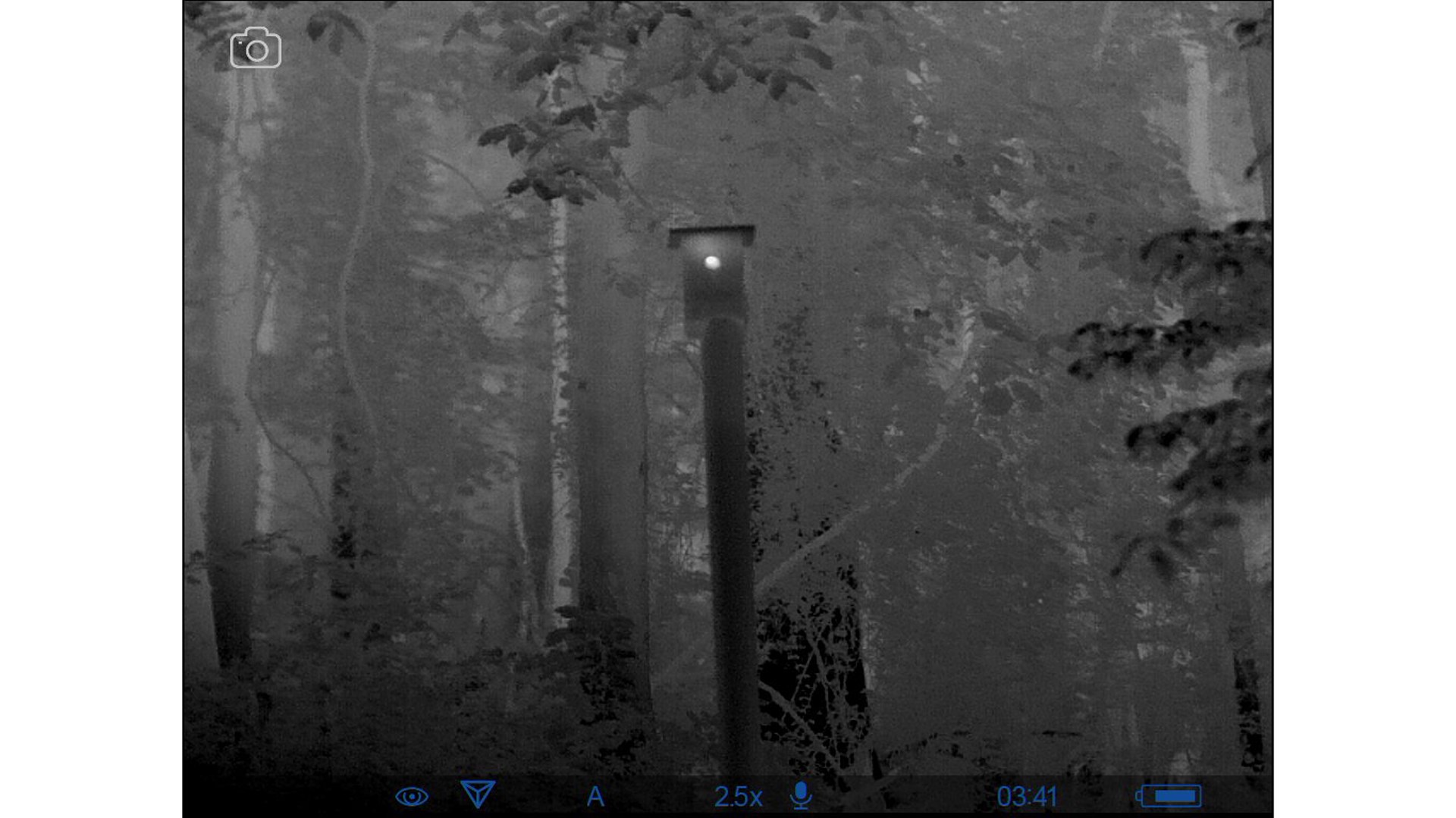 Screenshot Thermal Imaging woods pole birdhouse bright white hot hole