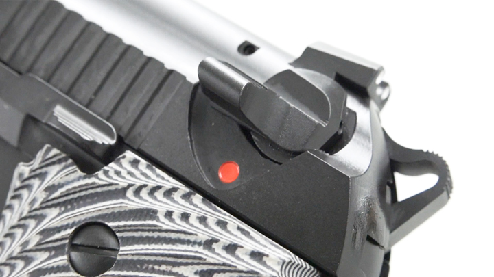 Close-up view of pistol safety and hammer.