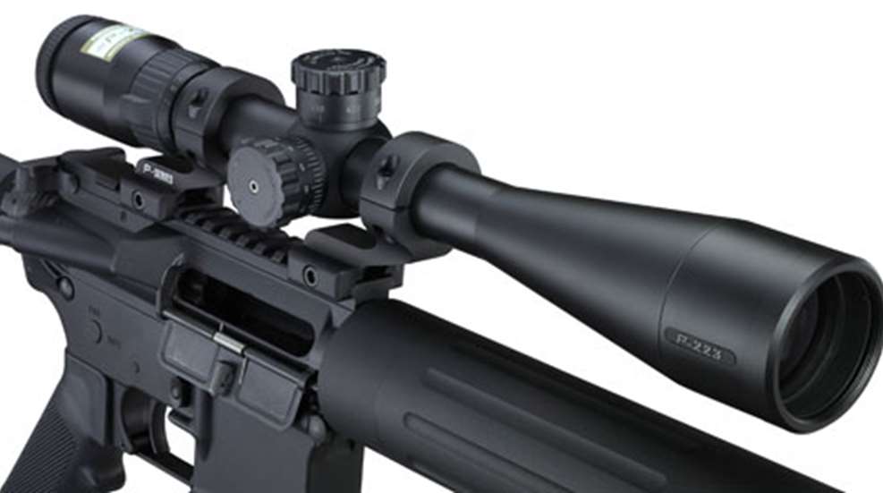 P-223withmount_F.jpg