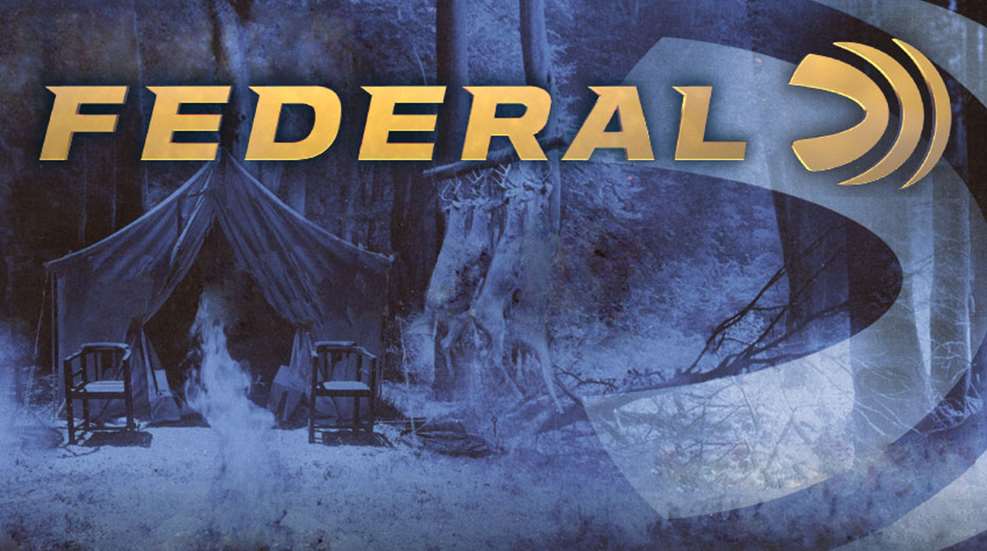 federal.jpg