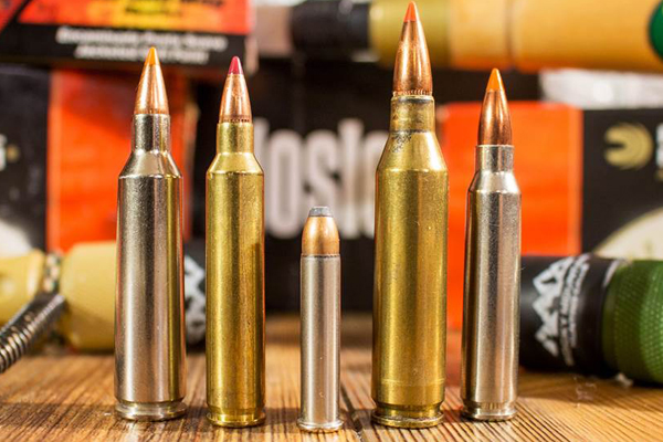 Top 5 Predator Cartridges