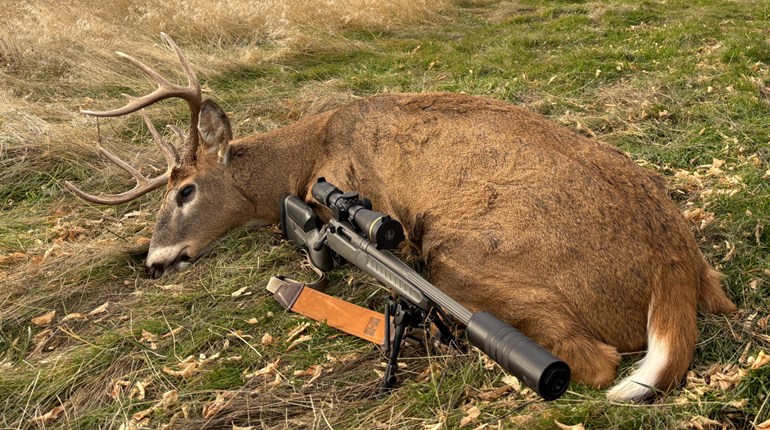 Review: Savage 110 Trail Blazer Rifle in 22 Creedmoor | An Official Journal Of The NRA