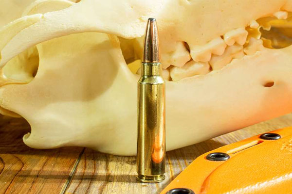 Behind the Bullet: .300 Savage
