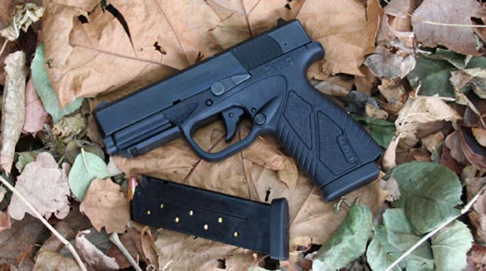 201229104458-bersa_bp9cc_leaves1_f.jpg
