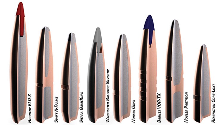 Side-by-side comparison of hunting bullets cross-section view of each with brand labels