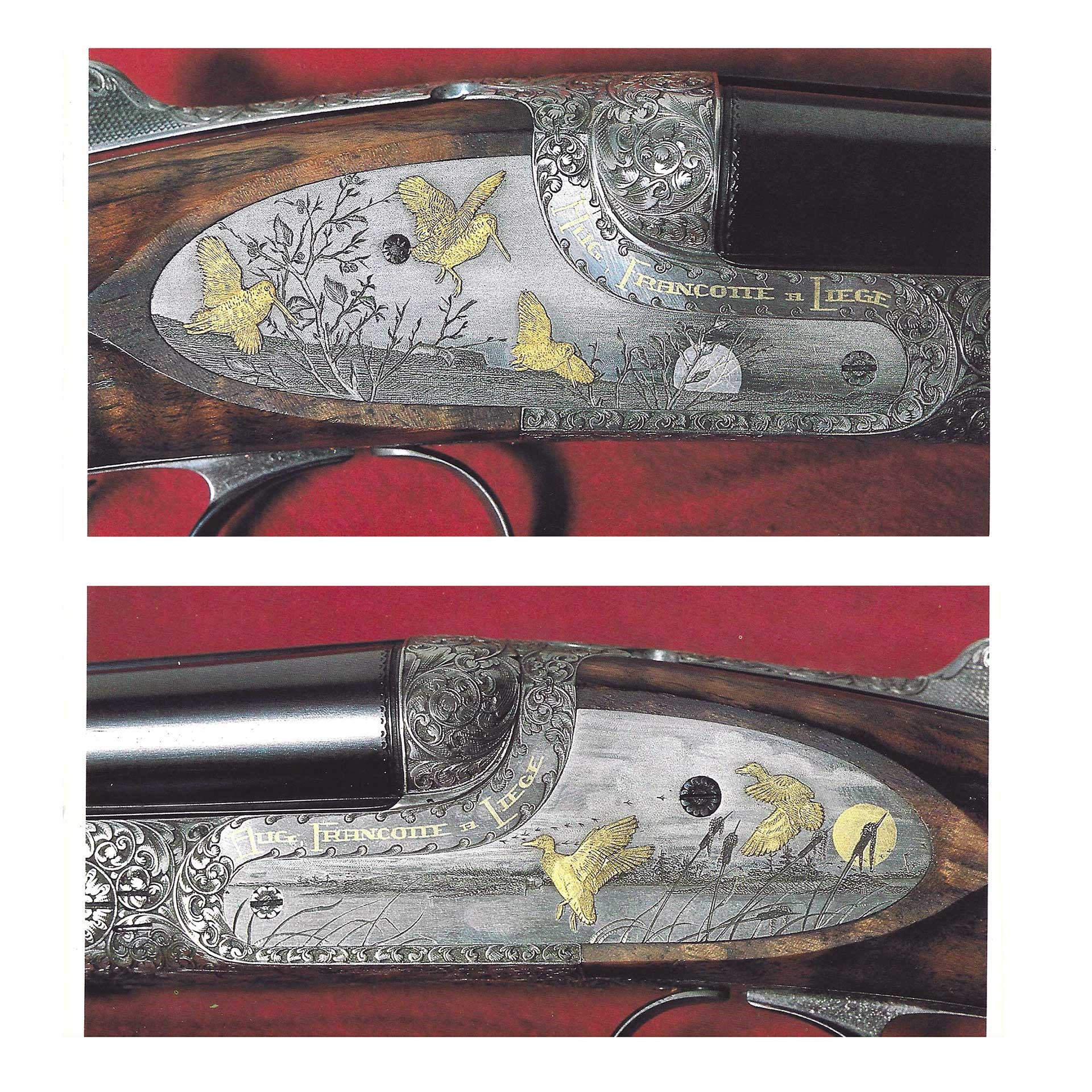 Engraved sideplates on a Francotte shotgun.