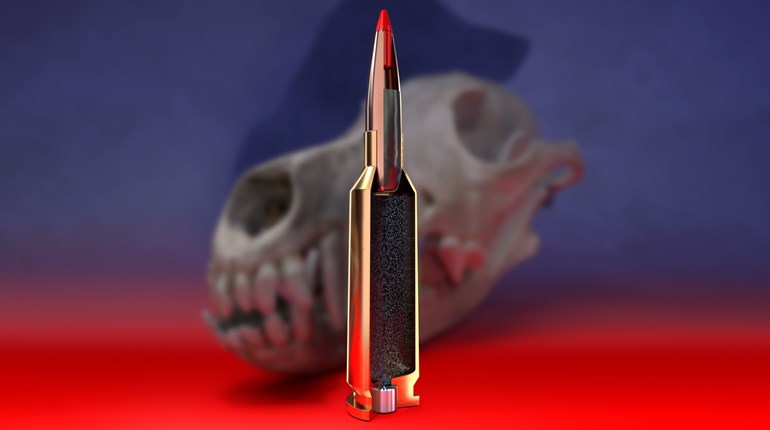 Hornady’s 22 ARC Strikes A Chord | An Official Journal Of The NRA