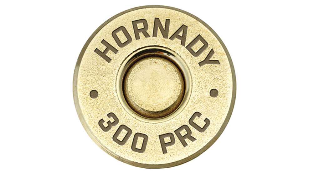 ammo_sagi.jpg
