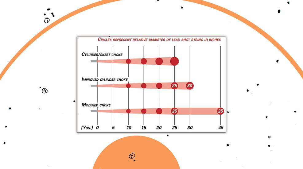 Shotgun patterning target with infographic for shot string and lead pellets