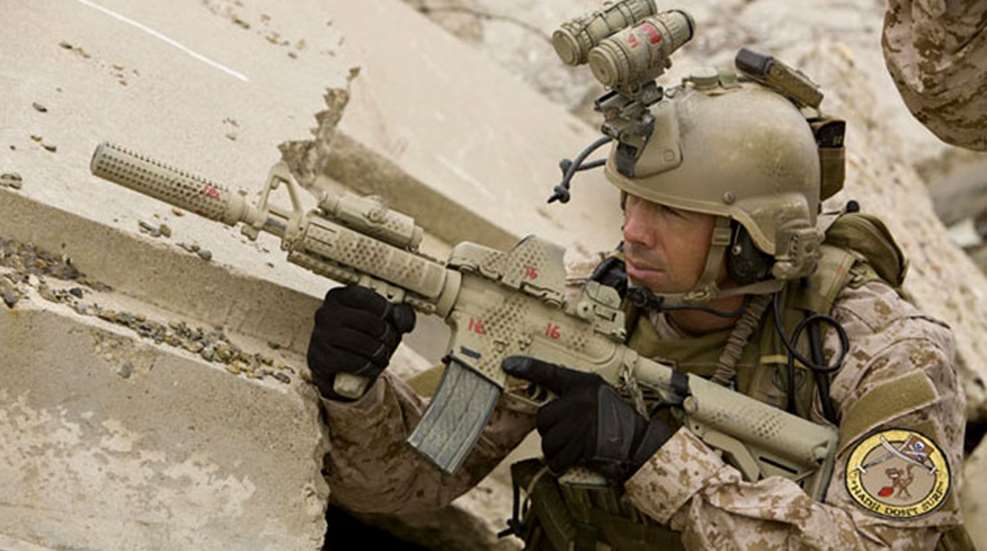 sealsgear.jpg