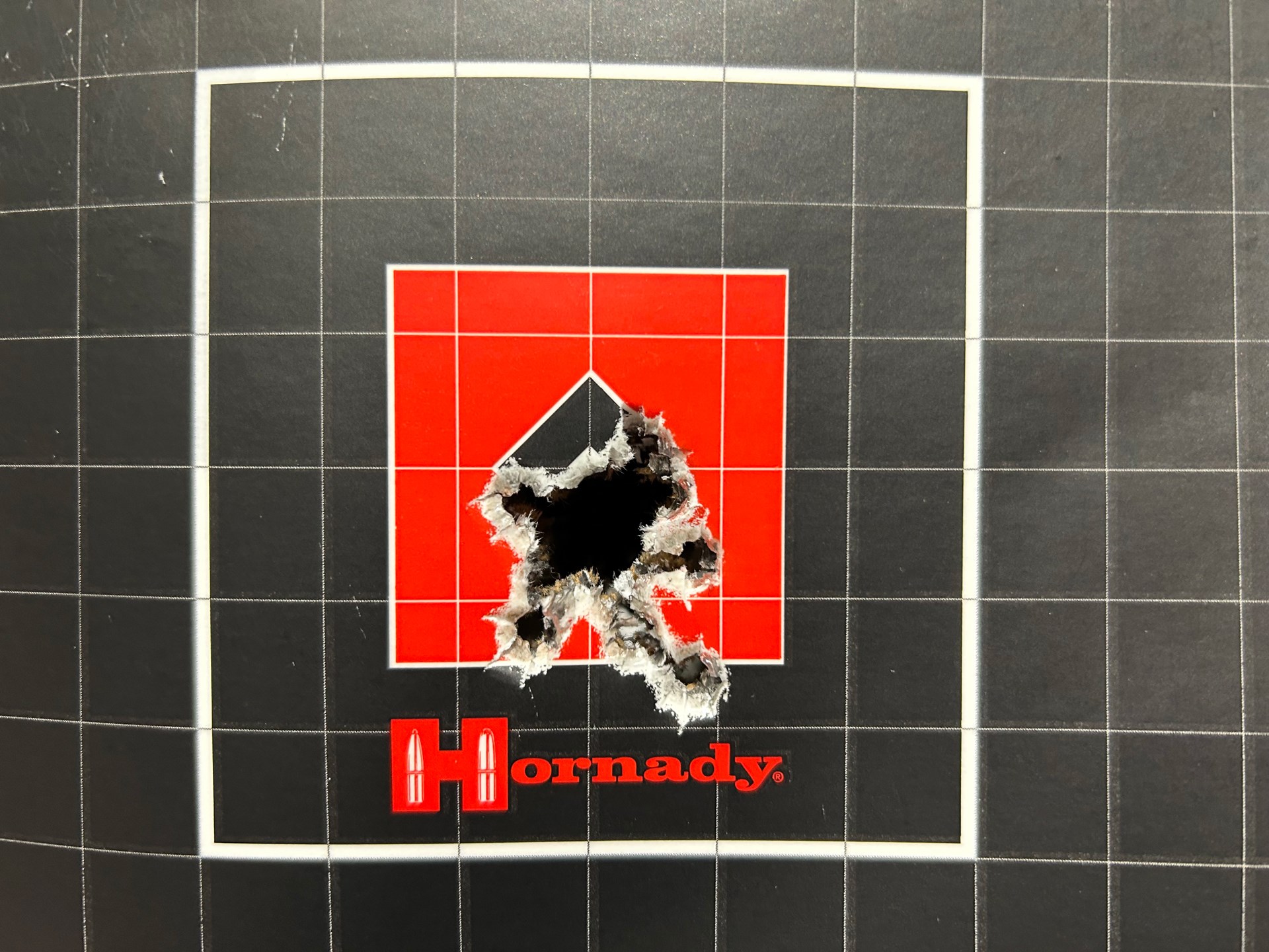 Hornady rifle target grid squares red center holes from rifle shooting bullets