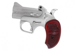 Bond Arms USA Defender