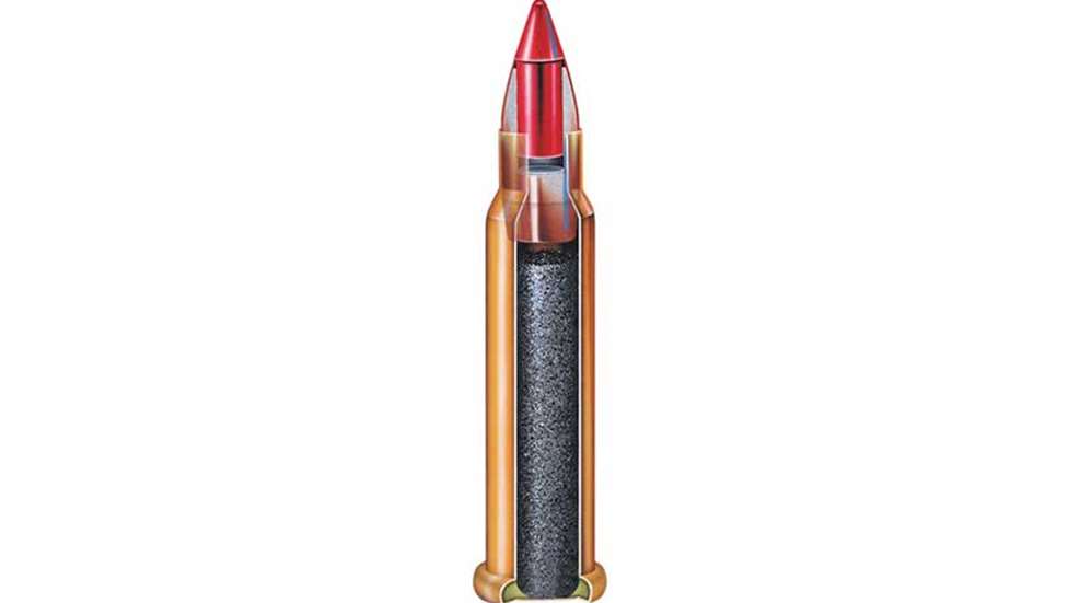 cartridge ammo 17 hmr hornady cutaway rendering drawing
