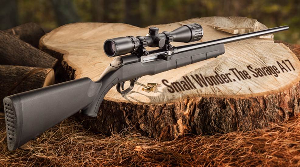 Review Savage A17 Rimfire Rifle An Official Journal Of The NRA